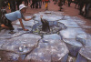 Chalk Drawing 2 - Seal